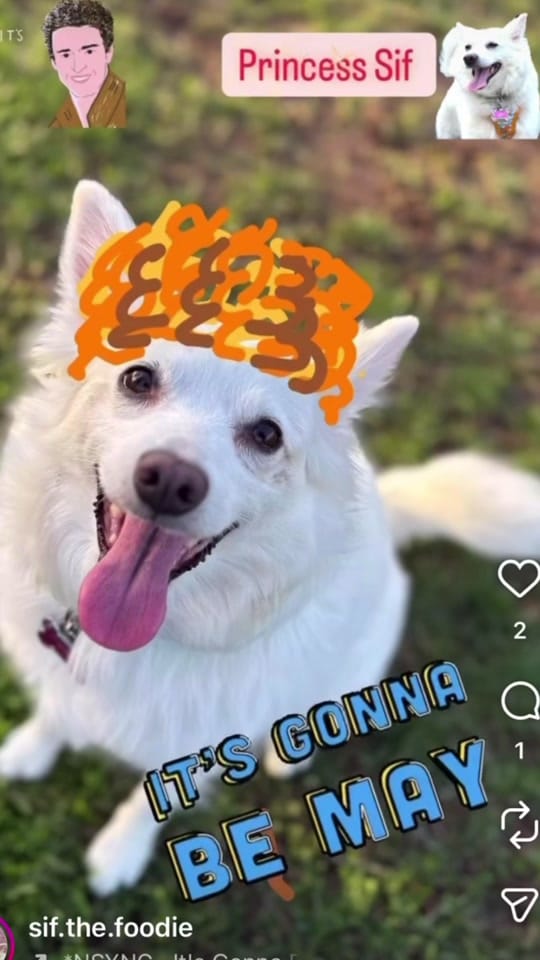 Post 1 by Princess.Sif on TikTok (video)