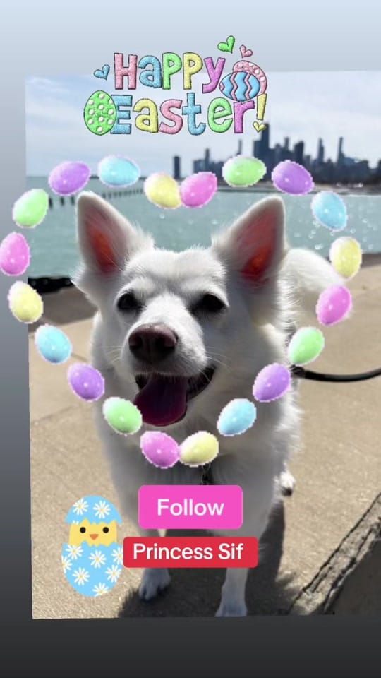 Post 6 by Princess.Sif on TikTok (video)
