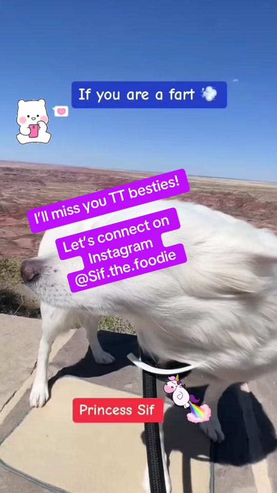 Post 9 by Princess.Sif on TikTok (video)