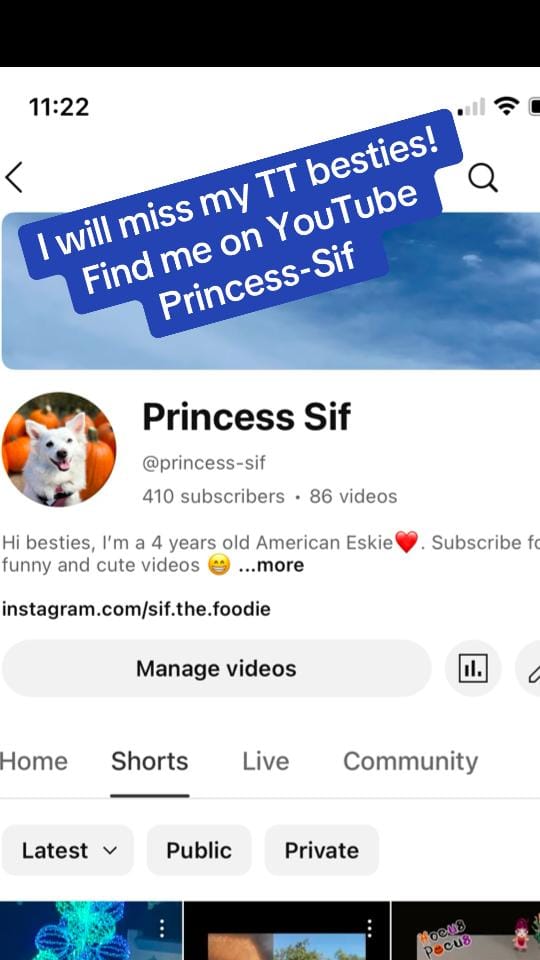 Post 8 by Princess.Sif on TikTok (video)