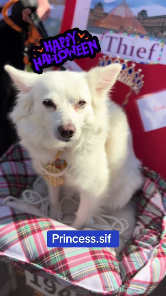 Post 3 by Princess.Sif on TikTok (video)