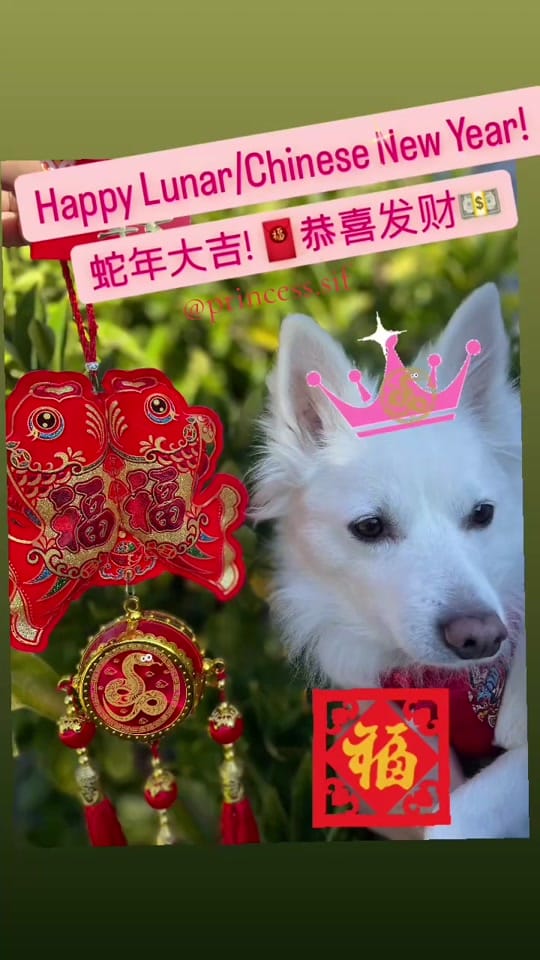 Post 7 by Princess.Sif on TikTok (video)