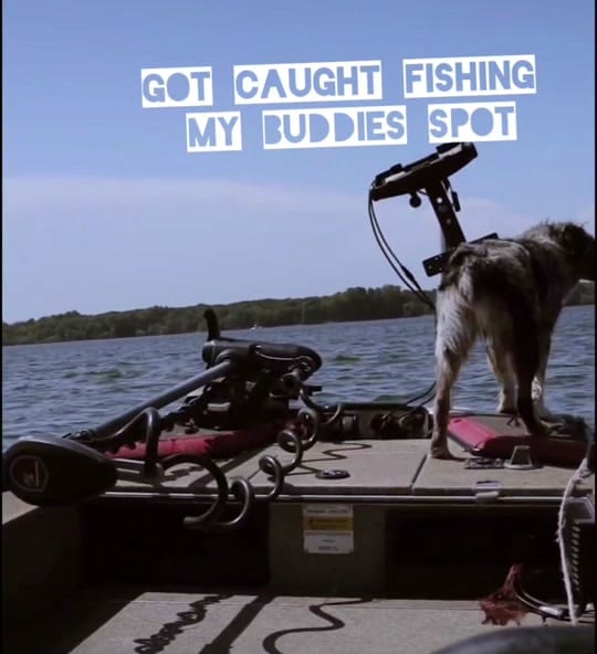 Post 4 by Paul Potter on TikTok (video)