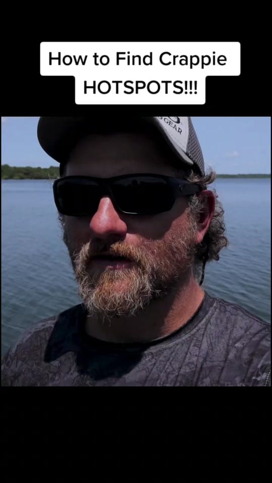 Post 10 by Paul Potter on TikTok (video)