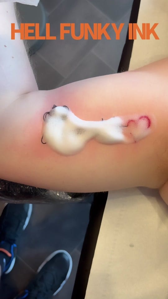 Post 8 by HELL FUNKY INK on TikTok (video)