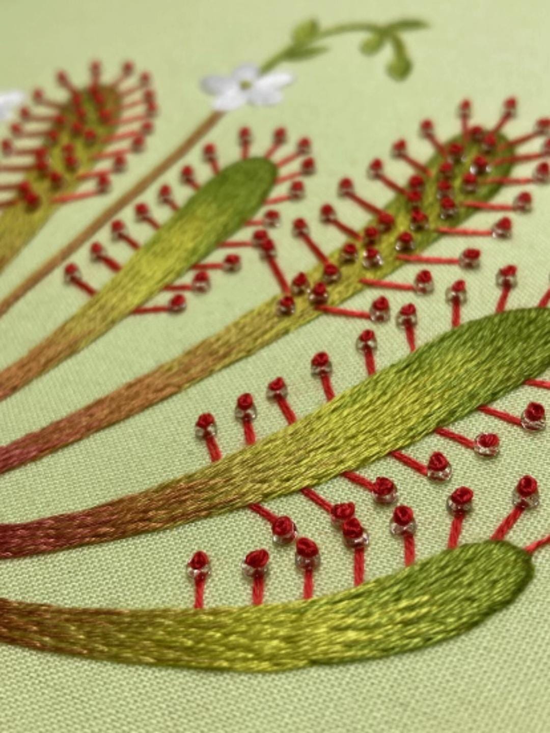 Post 6 by Royal School of Needlework on TikTok (video)