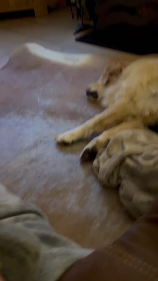 Post 5 by Rachel on TikTok (video)