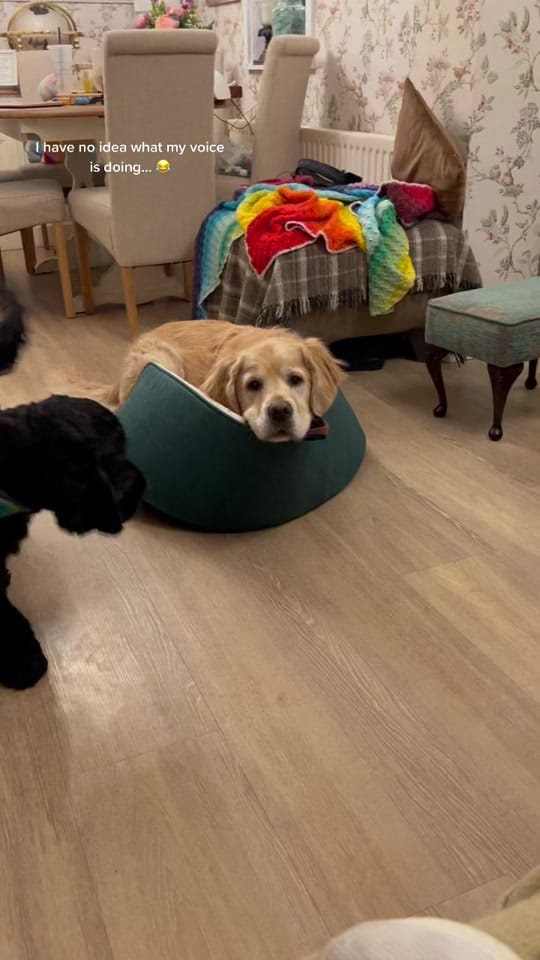 Post 10 by Rachel on TikTok (video)