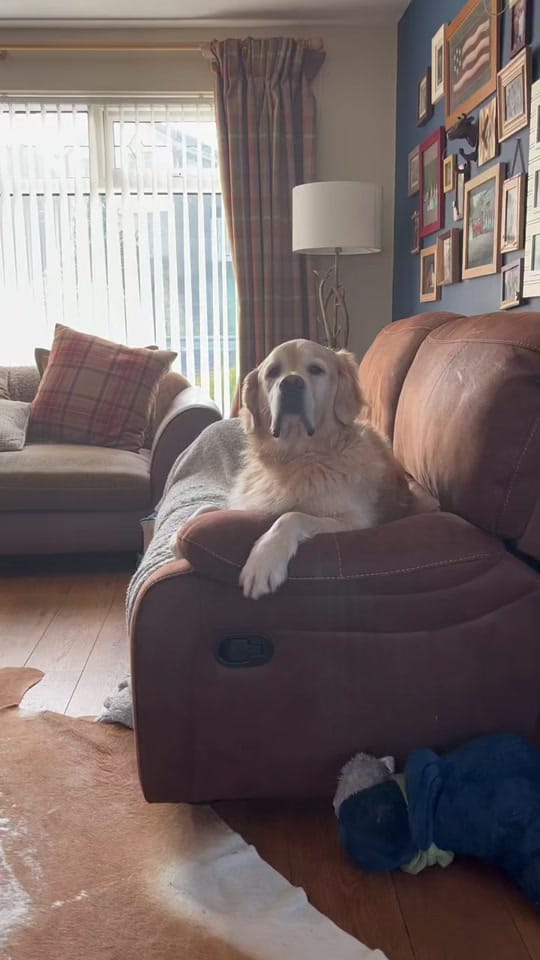 Post 8 by Rachel on TikTok (video)