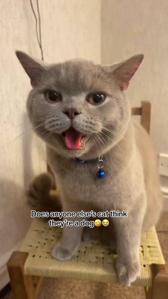 Post 8 by Sana🤍 on TikTok (video)