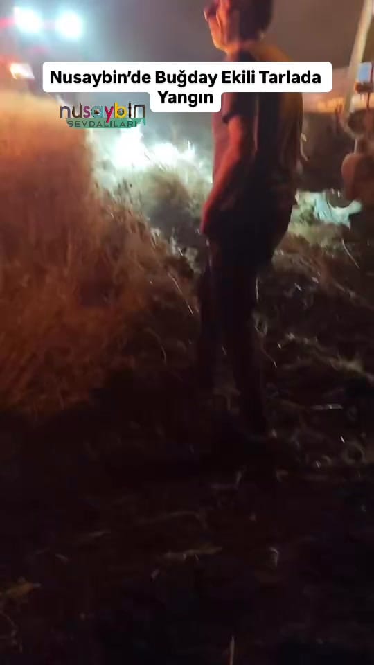 Post 5 by Nusaybintv on TikTok (video)