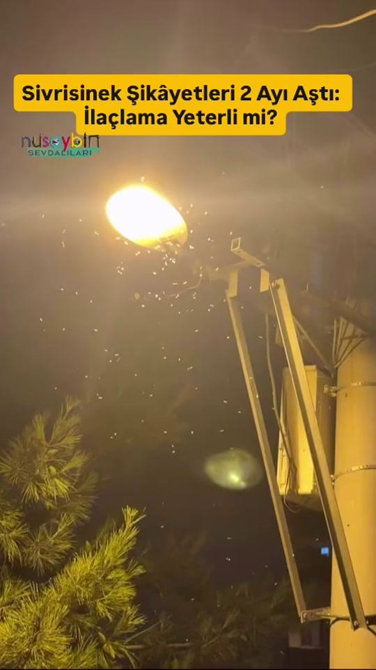 Post 1 by Nusaybintv on TikTok (video)