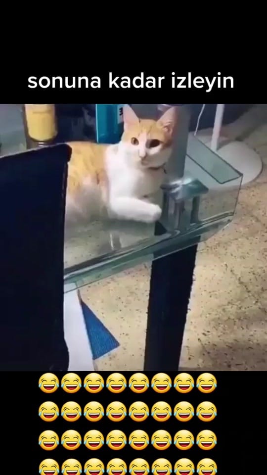 Post 2 by komik videolar on TikTok (video)