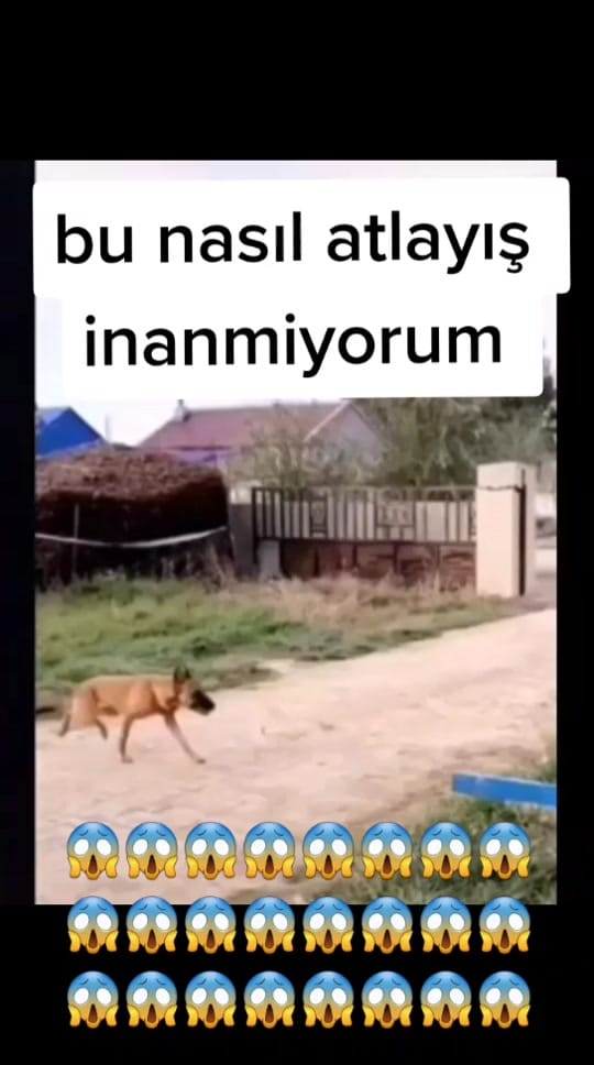 Post 5 by komik videolar on TikTok (video)