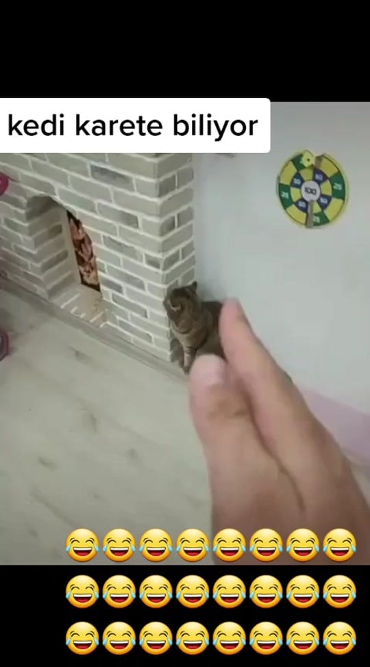 Post 3 by komik videolar on TikTok (video)