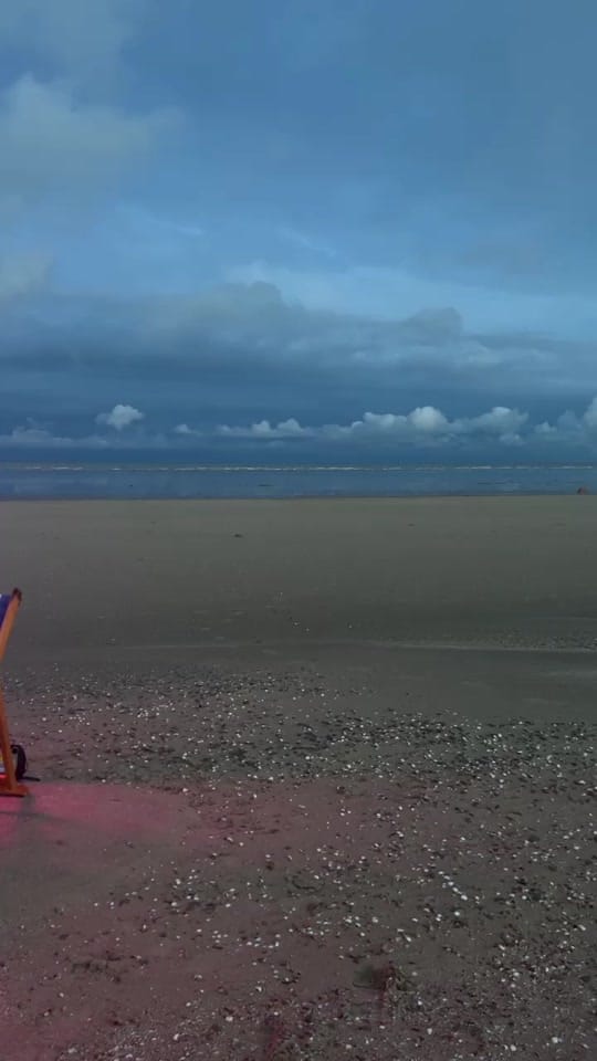 Post 1 by BAG&BONES on TikTok (video)