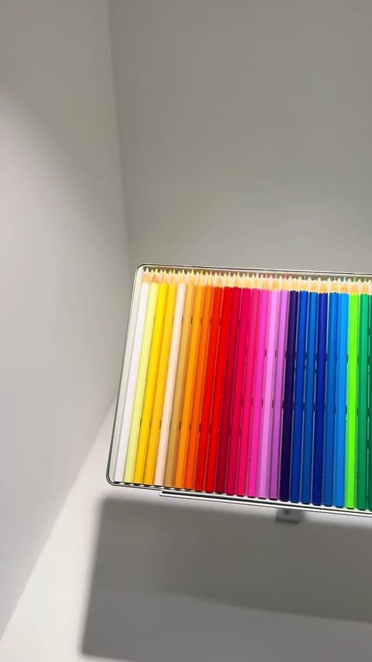 Post 2 by BAG&BONES on TikTok (video)