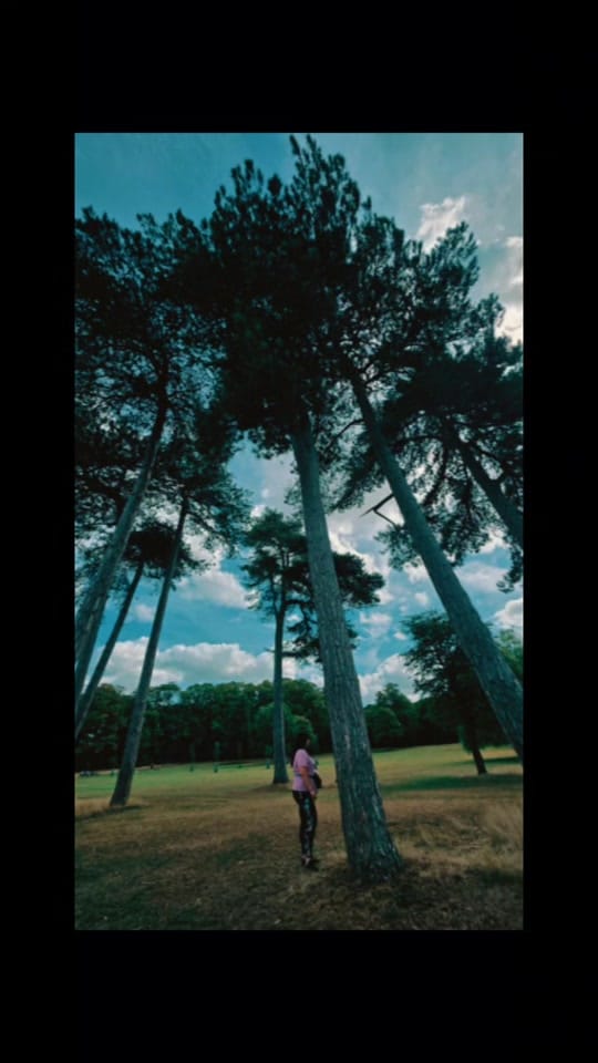 Post 10 by 🐭𝕄𝕚𝕟𝕟𝕚𝕖_𝕄𝕠𝕦𝕤𝕖🐭 on TikTok (video)