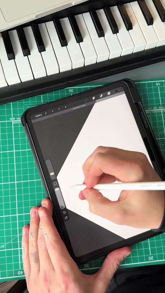 Post 3 by Bird Shoes on TikTok (video)