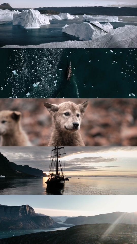 Post 2 by Films by Stanton on TikTok (video)