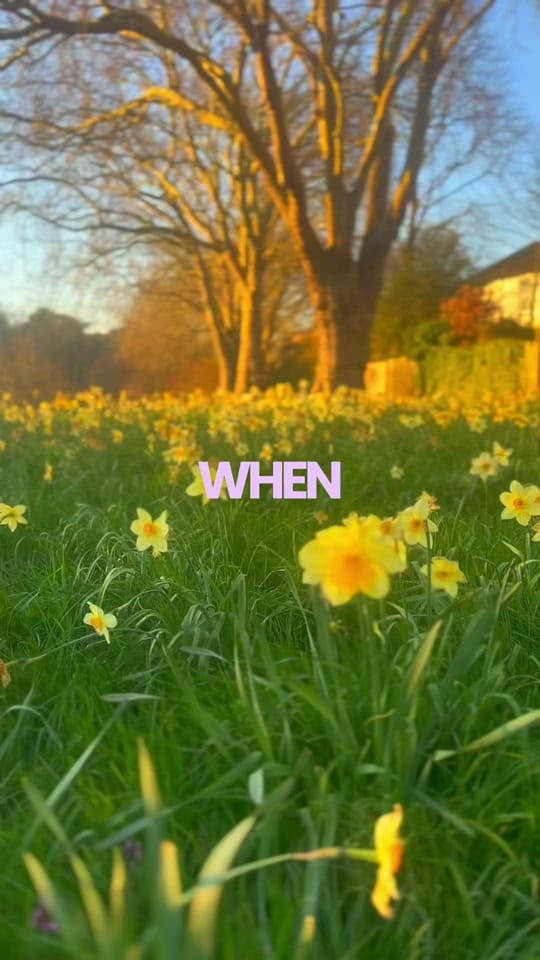 Post 1 by Rebekahbcreative  🎬 on TikTok (video)