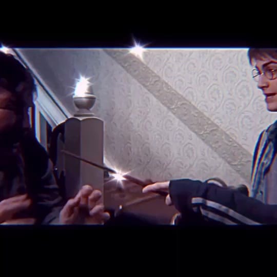 Post 1 by — 𝘏𝘢𝘳𝘳𝘺’𝘴 𝘸𝘪𝘧𝘦⚡️🦁 on TikTok (video)