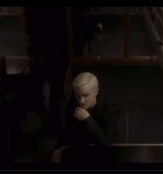 Post 8 by — 𝘏𝘢𝘳𝘳𝘺’𝘴 𝘸𝘪𝘧𝘦⚡️🦁 on TikTok (video)