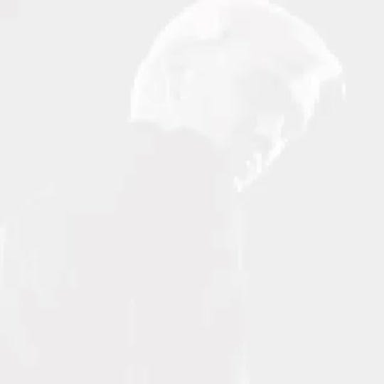 Post 9 by — 𝘏𝘢𝘳𝘳𝘺’𝘴 𝘸𝘪𝘧𝘦⚡️🦁 on TikTok (video)
