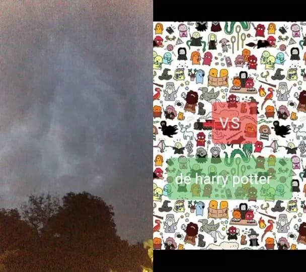 Post 3 by — 𝘏𝘢𝘳𝘳𝘺’𝘴 𝘸𝘪𝘧𝘦⚡️🦁 on TikTok (video)