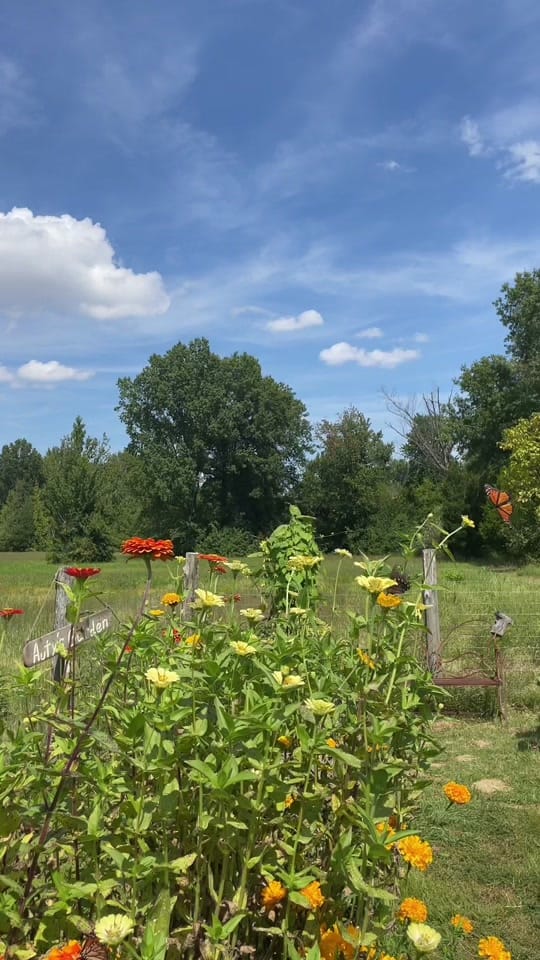 Post 6 by Autumn McCoy on TikTok (video)