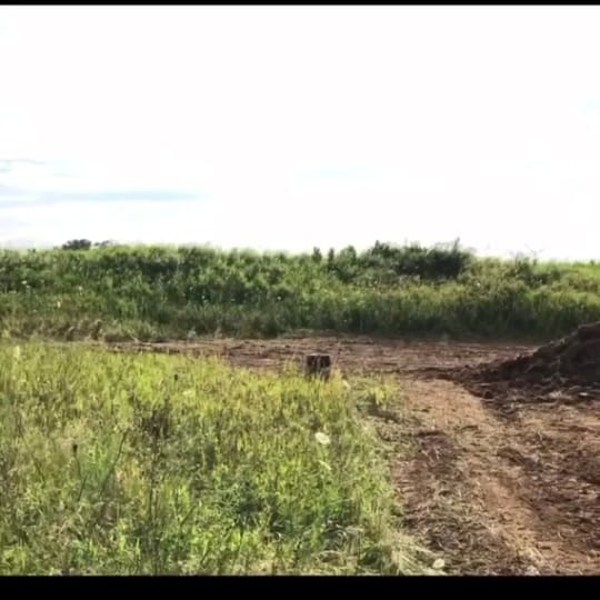 Post 3 by True filmz on TikTok (video)