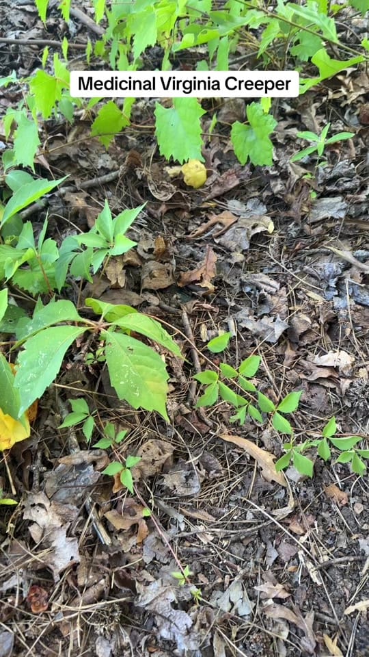Post 7 by DrRhymes62 on TikTok (video)