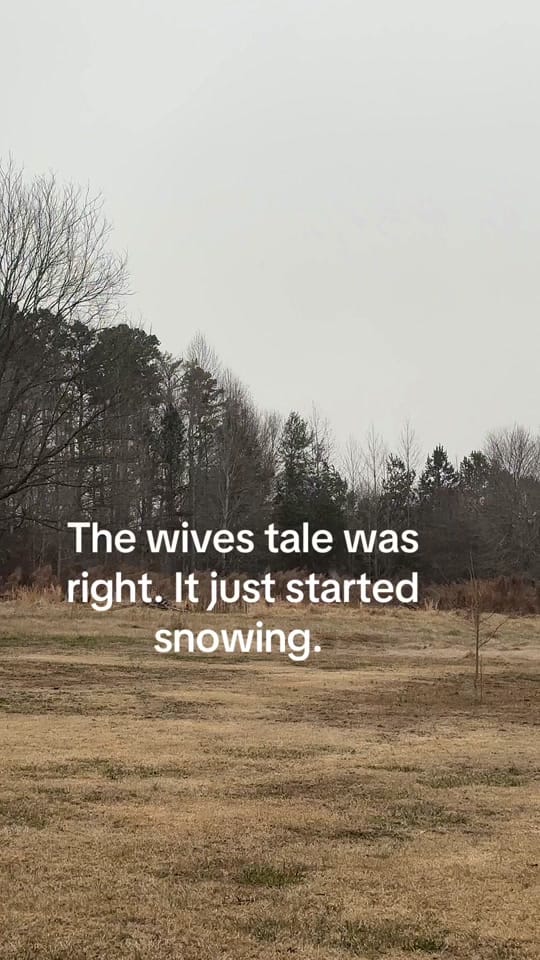 Post 2 by DrRhymes62 on TikTok (video)