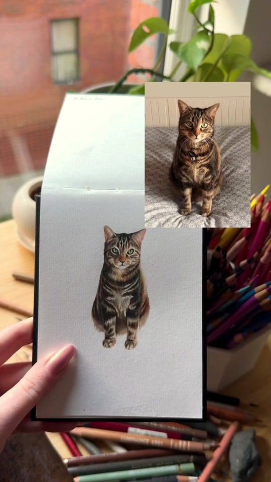 Post 8 by Portraits By Becky on TikTok (video)