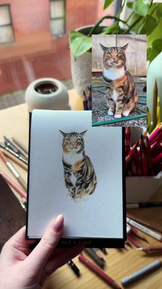 Post 3 by Portraits By Becky on TikTok (video)