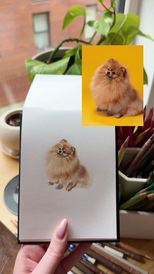 Post 7 by Portraits By Becky on TikTok (video)