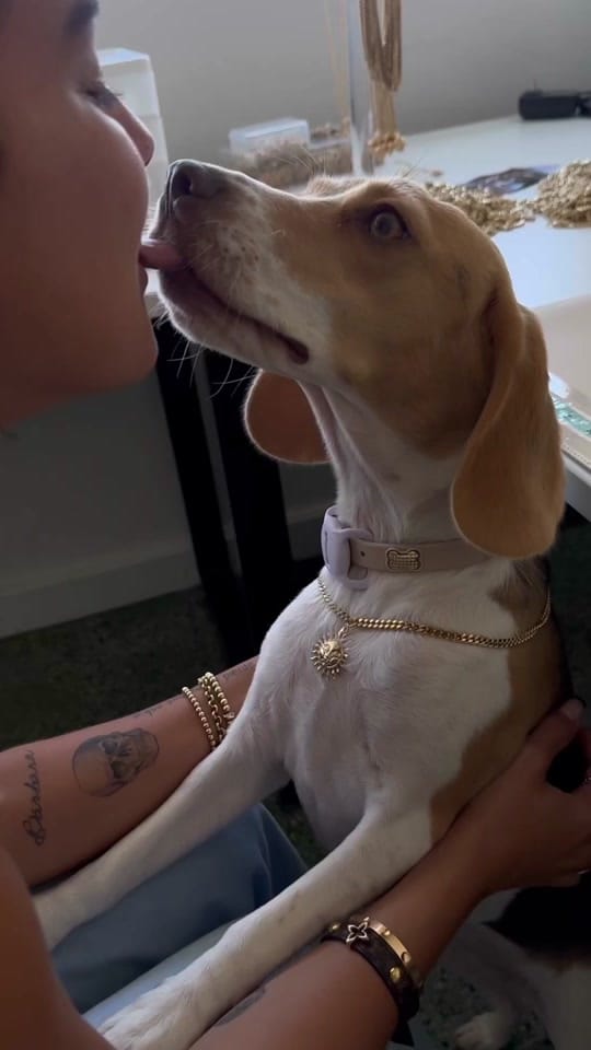 Post 10 by Diciembre Veintinueve on TikTok (video)