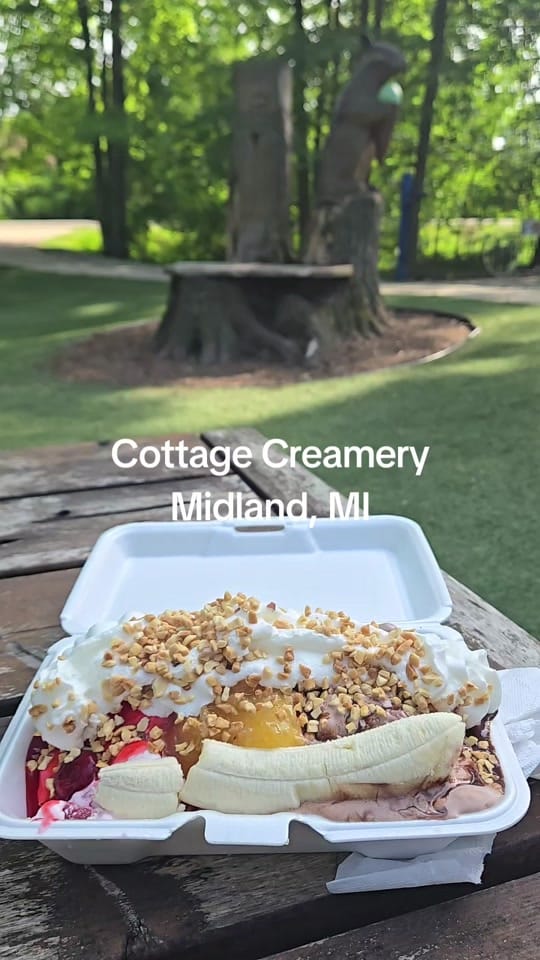 Post 5 by Rebecca Starr Ribble on TikTok (video)