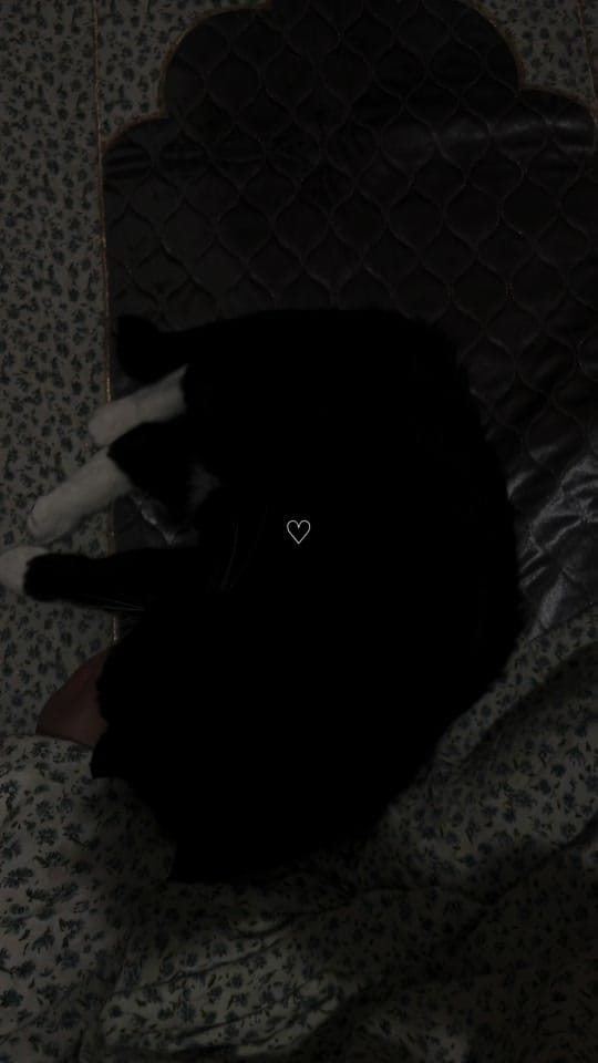 Post 4 by Shahed Alasal Hwari on TikTok (video)