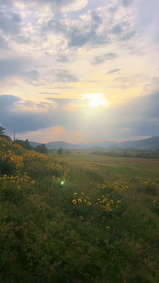 Post 2 by shae on TikTok (video)