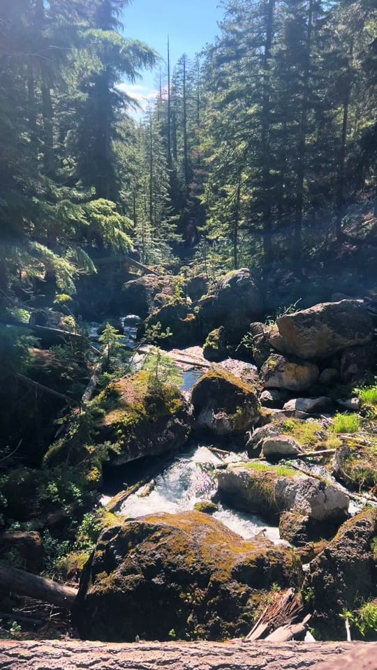 Post 3 by shae on TikTok (video)