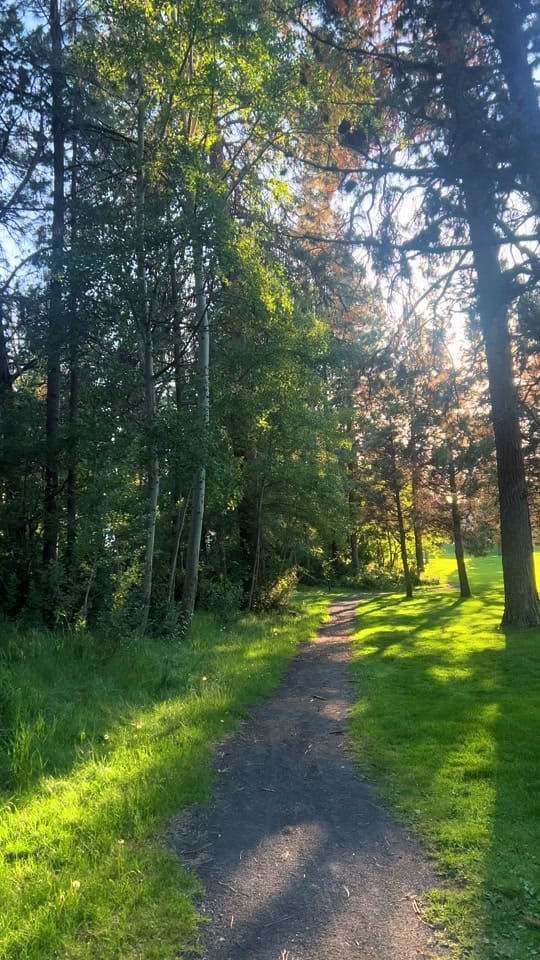 Post 6 by shae on TikTok (video)