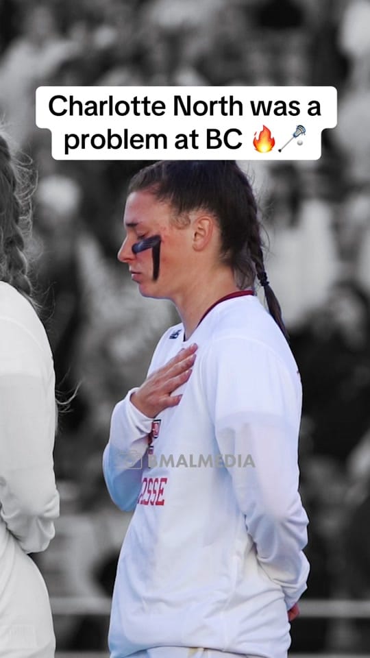 Post 3 by Bmal on TikTok (video)