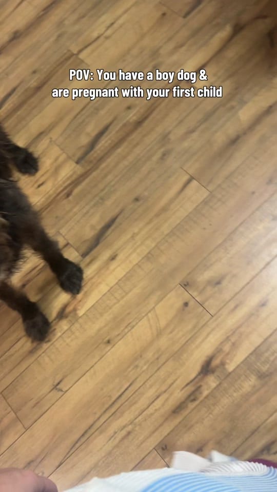 Post 1 by Howdy it’s Hannah 🤠 on TikTok (video)