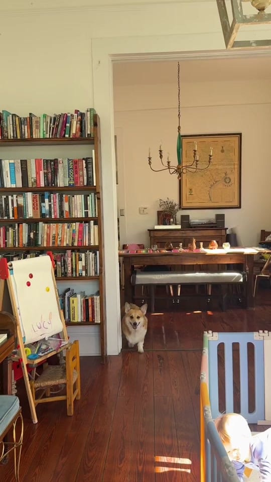 Post 4 by Kirby on TikTok (video)