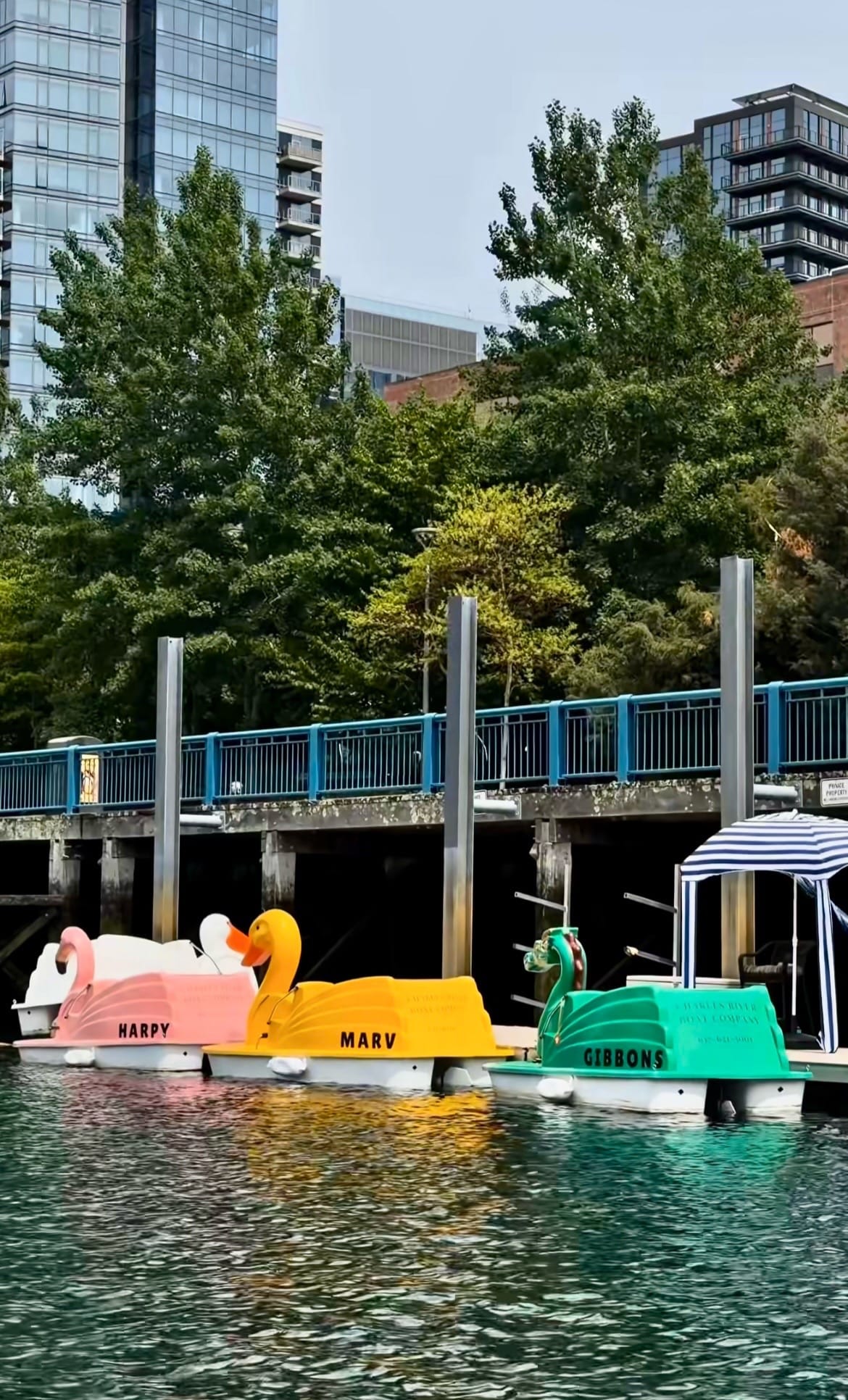Post 3 by Conoce Massachusetts | Boston on TikTok (video)