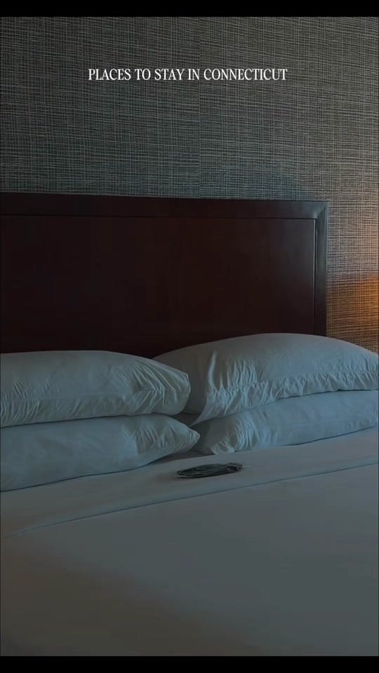 Post 4 by Lively Jay | Content Creator on TikTok (video)