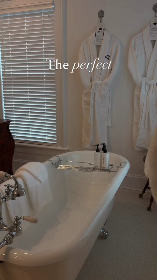 Post 2 by Lively Jay | Content Creator on TikTok (video)