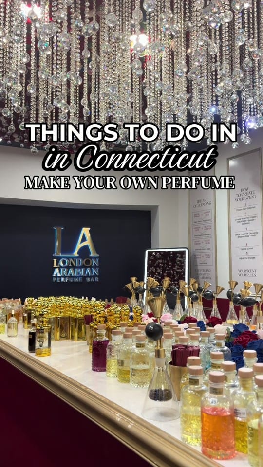 Post 7 by Lively Jay | Content Creator on TikTok (video)