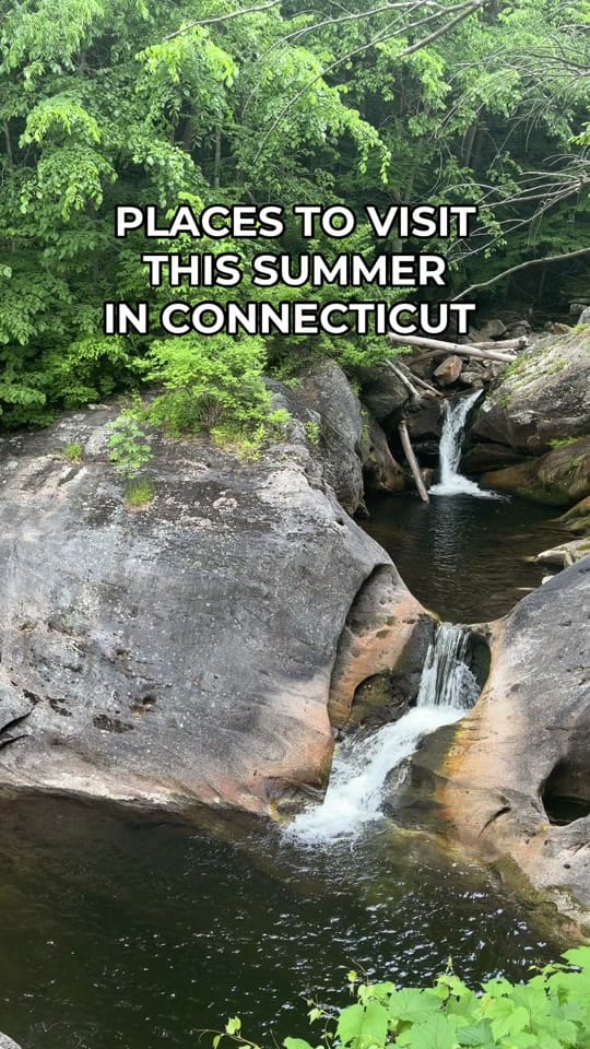 Post 1 by Lively Jay | Content Creator on TikTok (video)